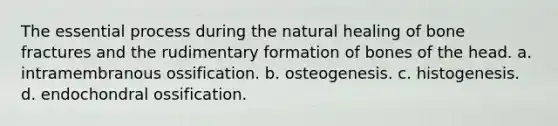 The essential process during the natural healing of bone fractures and the rudimentary formation of bones of the head. a. intramembranous ossification. b. osteogenesis. c. histogenesis. d. endochondral ossification.