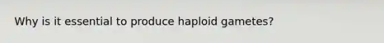 Why is it essential to produce haploid gametes?