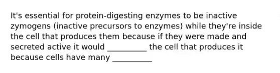 It's essential for protein-digesting enzymes to be inactive zymogens (inactive precursors to enzymes) while they're inside the cell that produces them because if they were made and secreted active it would __________ the cell that produces it because cells have many __________