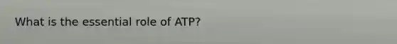 What is the essential role of ATP?