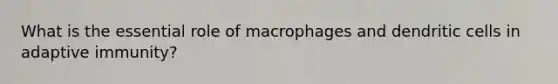 What is the essential role of macrophages and dendritic cells in adaptive immunity?