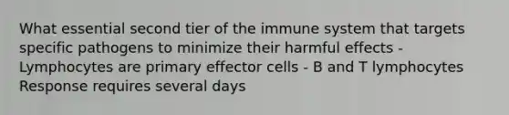 What essential second tier of the immune system that targets specific pathogens to minimize their harmful effects - Lymphocytes are primary effector cells - B and T lymphocytes Response requires several days