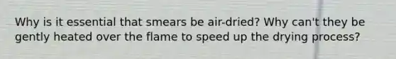 Why is it essential that smears be air-dried? Why can't they be gently heated over the flame to speed up the drying process?