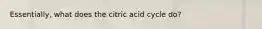 Essentially, what does the citric acid cycle do?