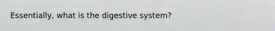 Essentially, what is the digestive system?