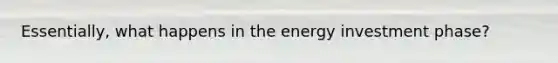 Essentially, what happens in the energy investment phase?