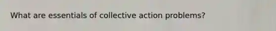 What are essentials of collective action problems?