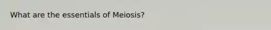 What are the essentials of Meiosis?