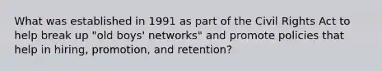 What was established in 1991 as part of the Civil Rights Act to help break up "old boys' networks" and promote policies that help in hiring, promotion, and retention?