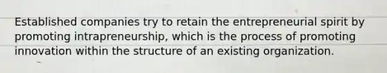 Established companies try to retain the entrepreneurial spirit by promoting intrapreneurship, which is the process of promoting innovation within the structure of an existing organization.
