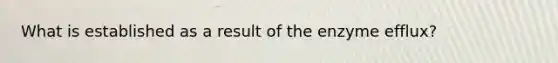 What is established as a result of the enzyme efflux?