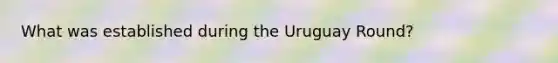 What was established during the Uruguay Round?