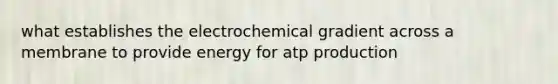 what establishes the electrochemical gradient across a membrane to provide energy for atp production