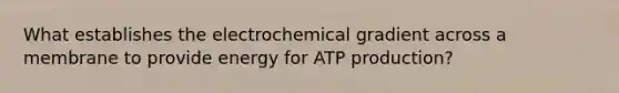 What establishes the electrochemical gradient across a membrane to provide energy for ATP production?