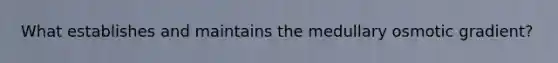 What establishes and maintains the medullary osmotic gradient?