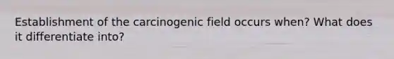 Establishment of the carcinogenic field occurs when? What does it differentiate into?