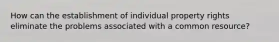 How can the establishment of individual property rights eliminate the problems associated with a common resource?