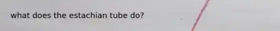 what does the estachian tube do?