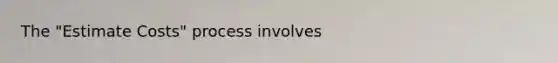 The "Estimate Costs" process involves