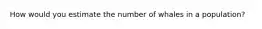 How would you estimate the number of whales in a population?