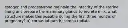 estogen and progesterone maintain the integrity of the uterine lining and prepare the mammary glands to secrete milk. what structure makes this possible during the first three months of pregnancy? a) corpus luteum b) corona radiata