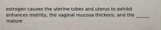 estrogen causes the uterine tubes and uterus to exhibit enhances motility, the vaginal mucosa thickens, and the ______ mature