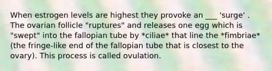 When estrogen levels are highest they provoke an ___ 'surge' . The ovarian follicle "ruptures" and releases one egg which is "swept" into the fallopian tube by *ciliae* that line the *fimbriae* (the fringe-like end of the fallopian tube that is closest to the ovary). This process is called ovulation.