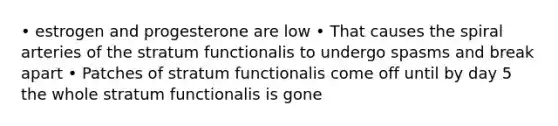 • estrogen and progesterone are low • That causes the spiral arteries of the stratum functionalis to undergo spasms and break apart • Patches of stratum functionalis come off until by day 5 the whole stratum functionalis is gone