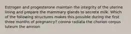 Estrogen and progesterone maintain the integrity of the uterine lining and prepare the mammary glands to secrete milk. Which of the following structures makes this possible during the first three months of pregnancy? corona radiata the chorion corpus luteum the amnion