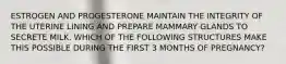 ESTROGEN AND PROGESTERONE MAINTAIN THE INTEGRITY OF THE UTERINE LINING AND PREPARE MAMMARY GLANDS TO SECRETE MILK. WHICH OF THE FOLLOWING STRUCTURES MAKE THIS POSSIBLE DURING THE FIRST 3 MONTHS OF PREGNANCY?