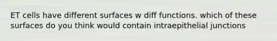 ET cells have different surfaces w diff functions. which of these surfaces do you think would contain intraepithelial junctions