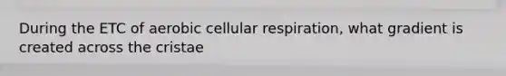 During the ETC of aerobic cellular respiration, what gradient is created across the cristae