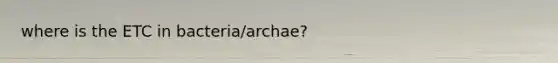 where is the ETC in bacteria/archae?