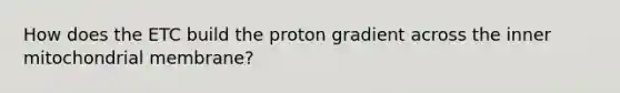 How does the ETC build the proton gradient across the inner mitochondrial membrane?