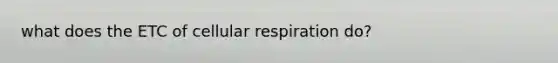 what does the ETC of cellular respiration do?