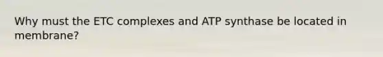 Why must the ETC complexes and ATP synthase be located in membrane?