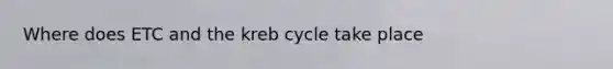 Where does ETC and the kreb cycle take place