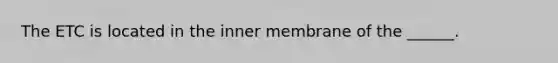 The ETC is located in the inner membrane of the ______.