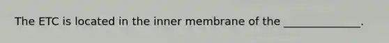 The ETC is located in the inner membrane of the ______________.