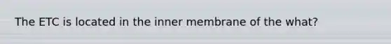 The ETC is located in the inner membrane of the what?