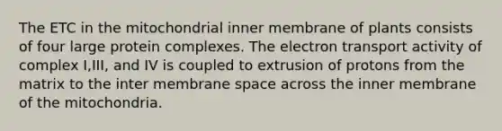 The ETC in the mitochondrial inner membrane of plants consists of four large protein complexes. The electron transport activity of complex I,III, and IV is coupled to extrusion of protons from the matrix to the inter membrane space across the inner membrane of the mitochondria.