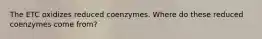 The ETC oxidizes reduced coenzymes. Where do these reduced coenzymes come from?