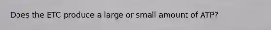 Does the ETC produce a large or small amount of ATP?