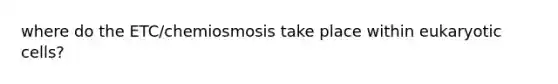 where do the ETC/chemiosmosis take place within <a href='https://www.questionai.com/knowledge/kb526cpm6R-eukaryotic-cells' class='anchor-knowledge'>eukaryotic cells</a>?