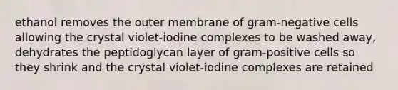 ethanol removes the outer membrane of gram-negative cells allowing the crystal violet-iodine complexes to be washed away, dehydrates the peptidoglycan layer of gram-positive cells so they shrink and the crystal violet-iodine complexes are retained