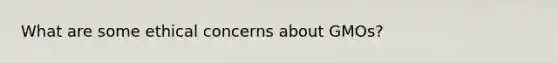 What are some ethical concerns about GMOs?