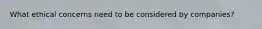 What ethical concerns need to be considered by companies?