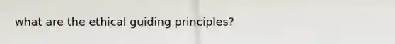 what are the ethical guiding principles?