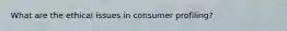 What are the ethical issues in consumer profiling?