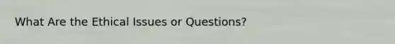 What Are the Ethical Issues or Questions?